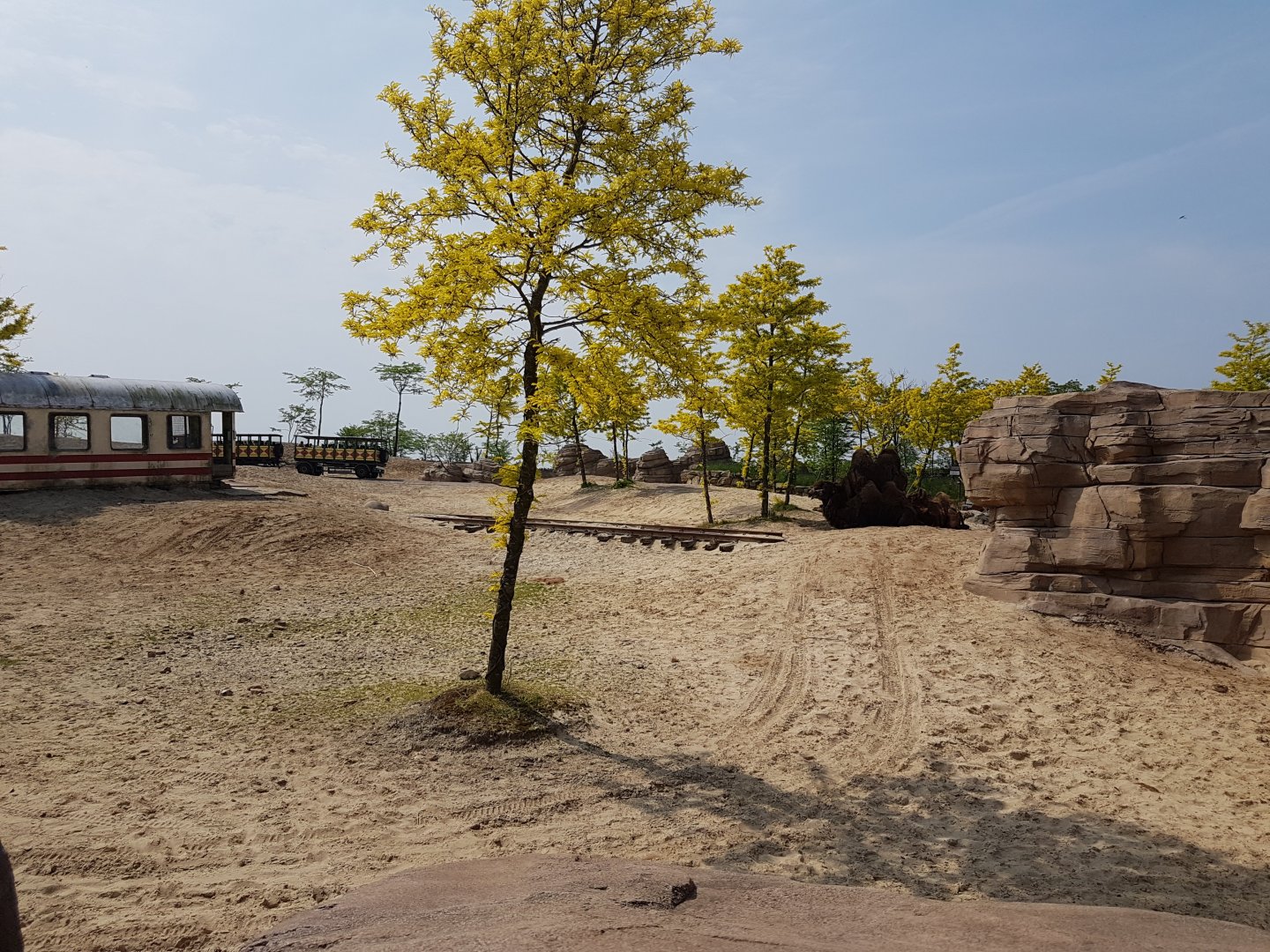 Camel - Onager enclosure