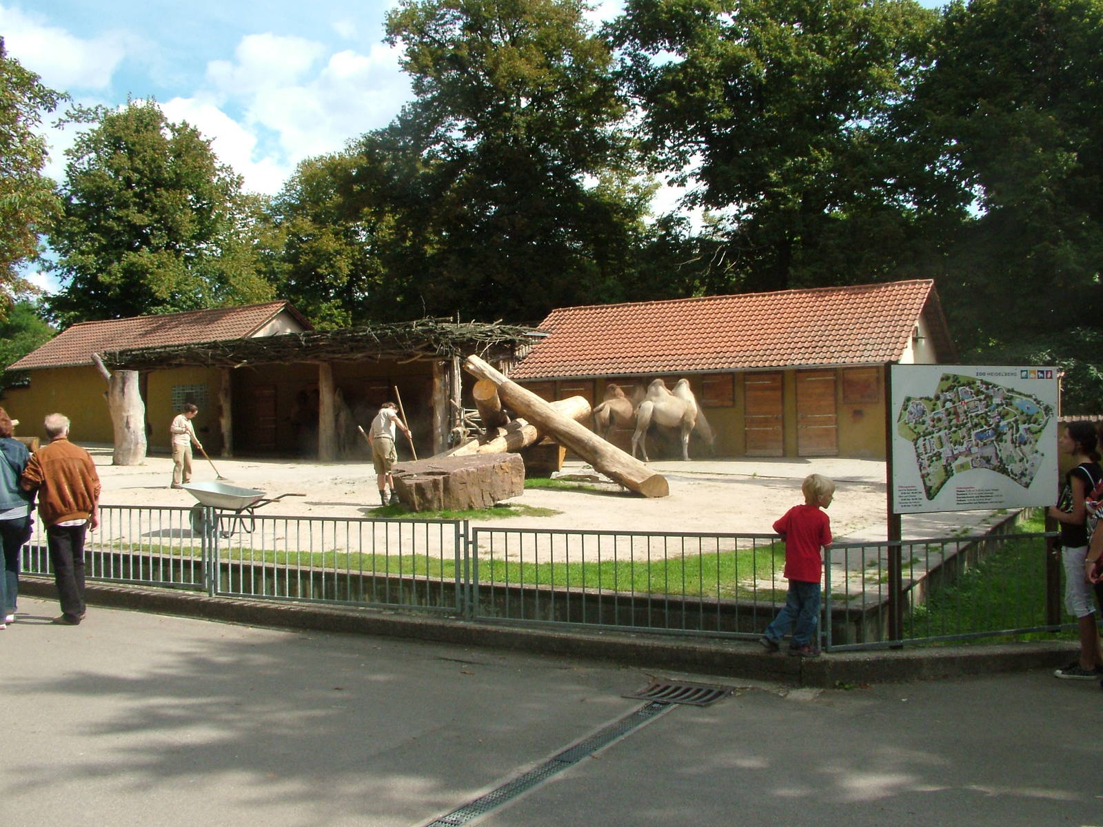 Camel Paddock at Heidelberg, 05/09/10
