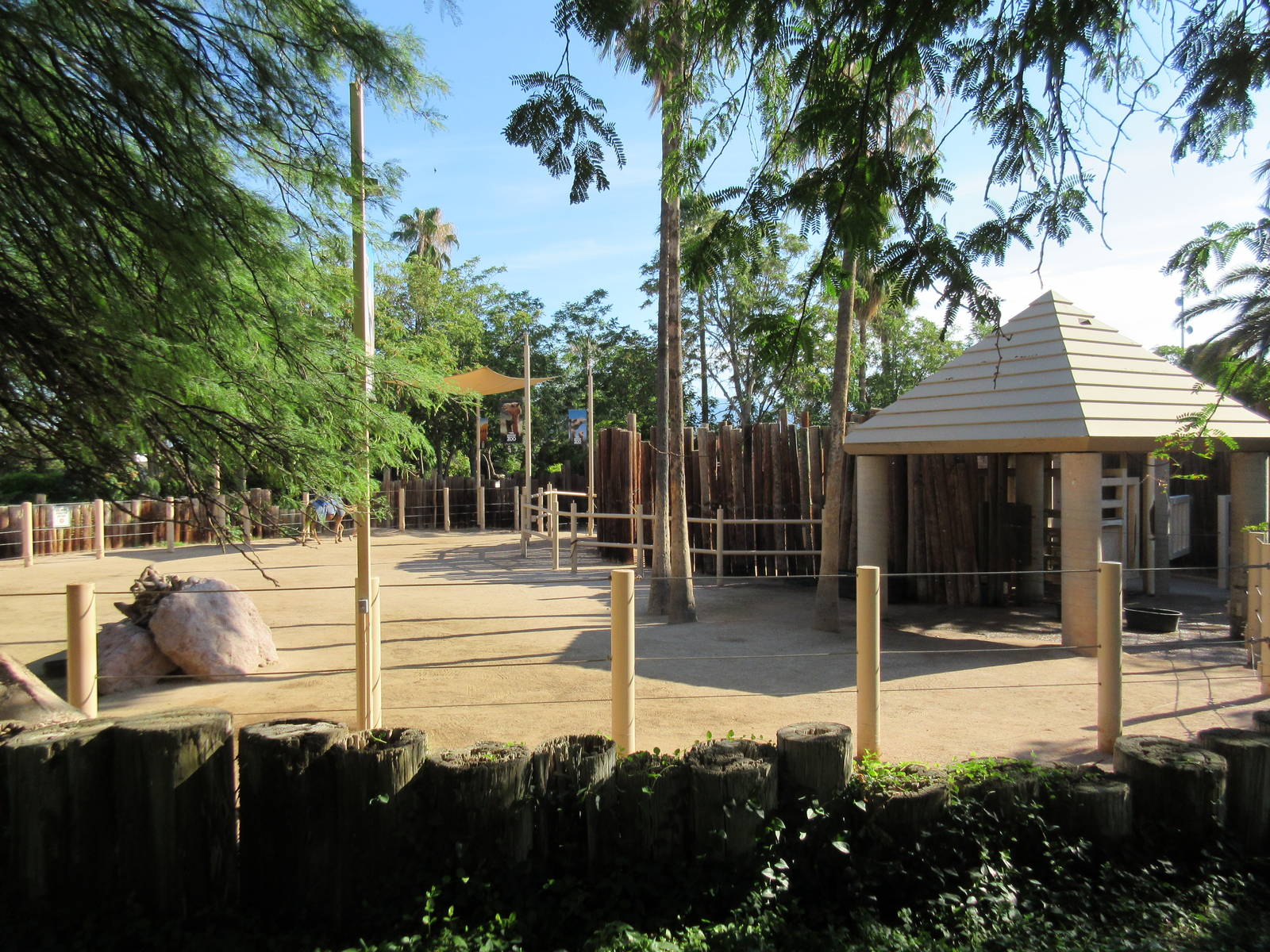 Camel Ride Area (old elephant exhibit)