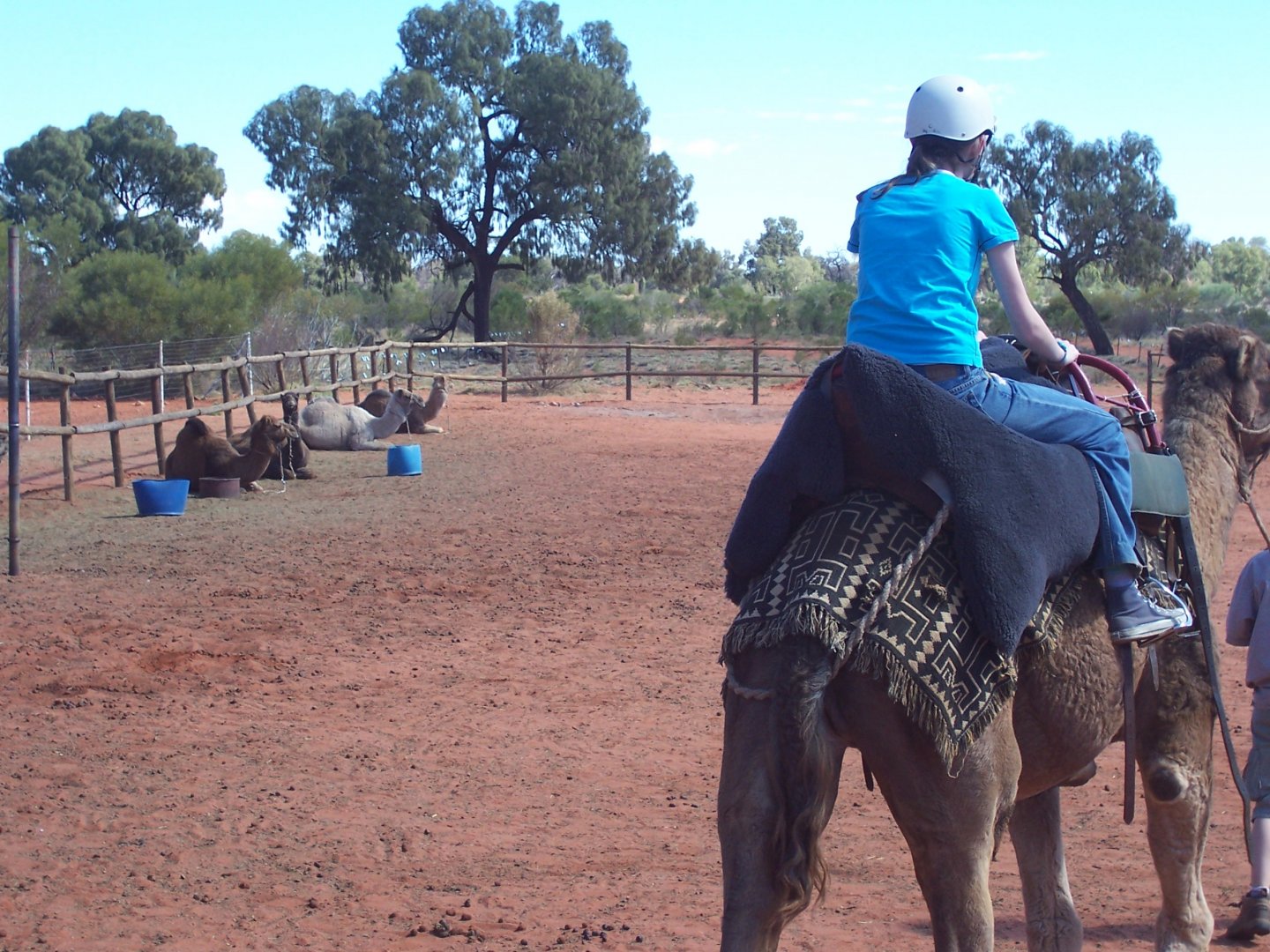 Camel Ride