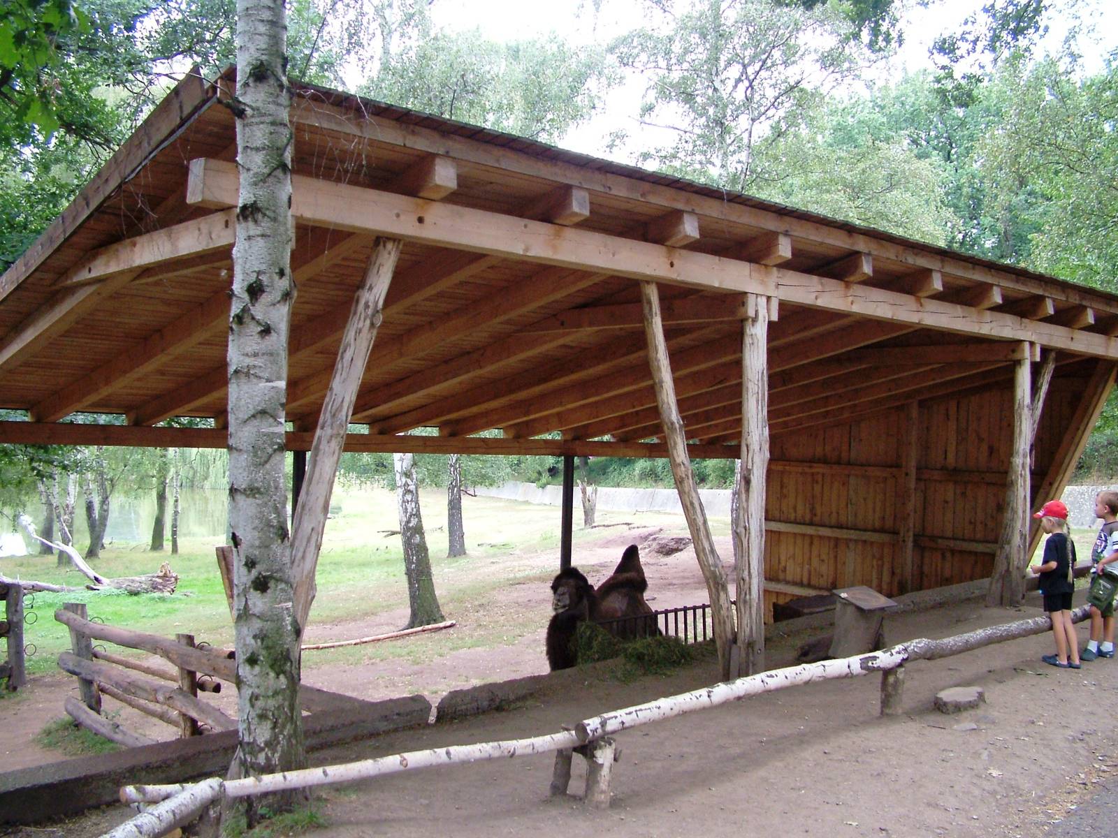 Camel Shelter at Chomutov, 30/08/12