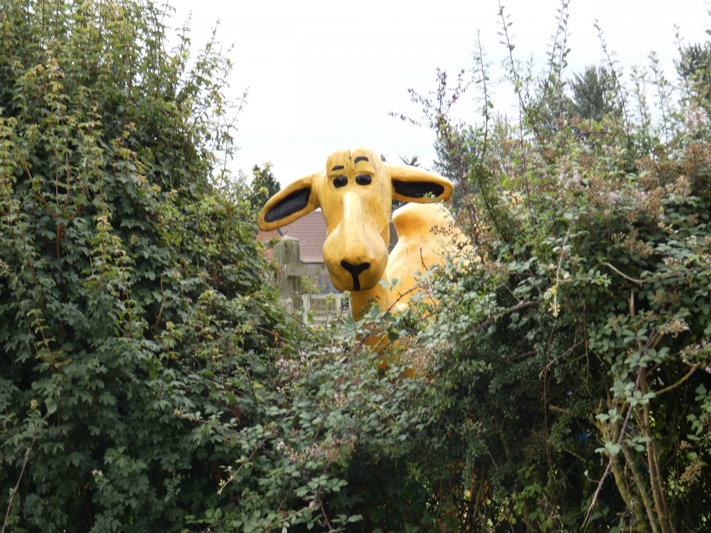 Camel statue (Camel Park Oasis)