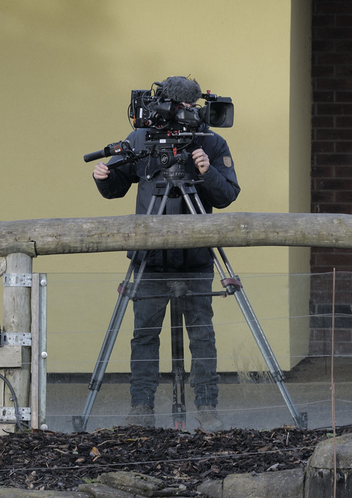 Camerman taking video of the new elephant calf