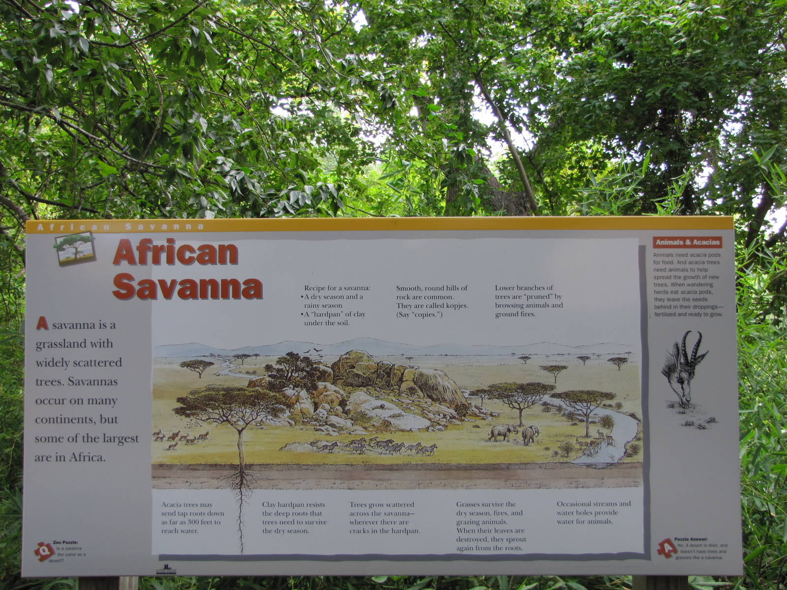 Cameron Park Zoo 2010 - African Savanna signage