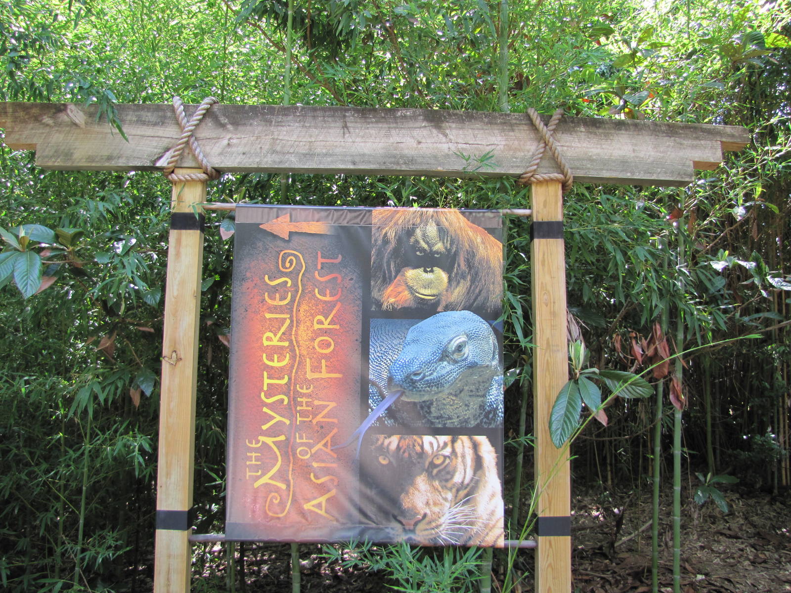 Cameron Park Zoo 2010 - Asian Forest signage
