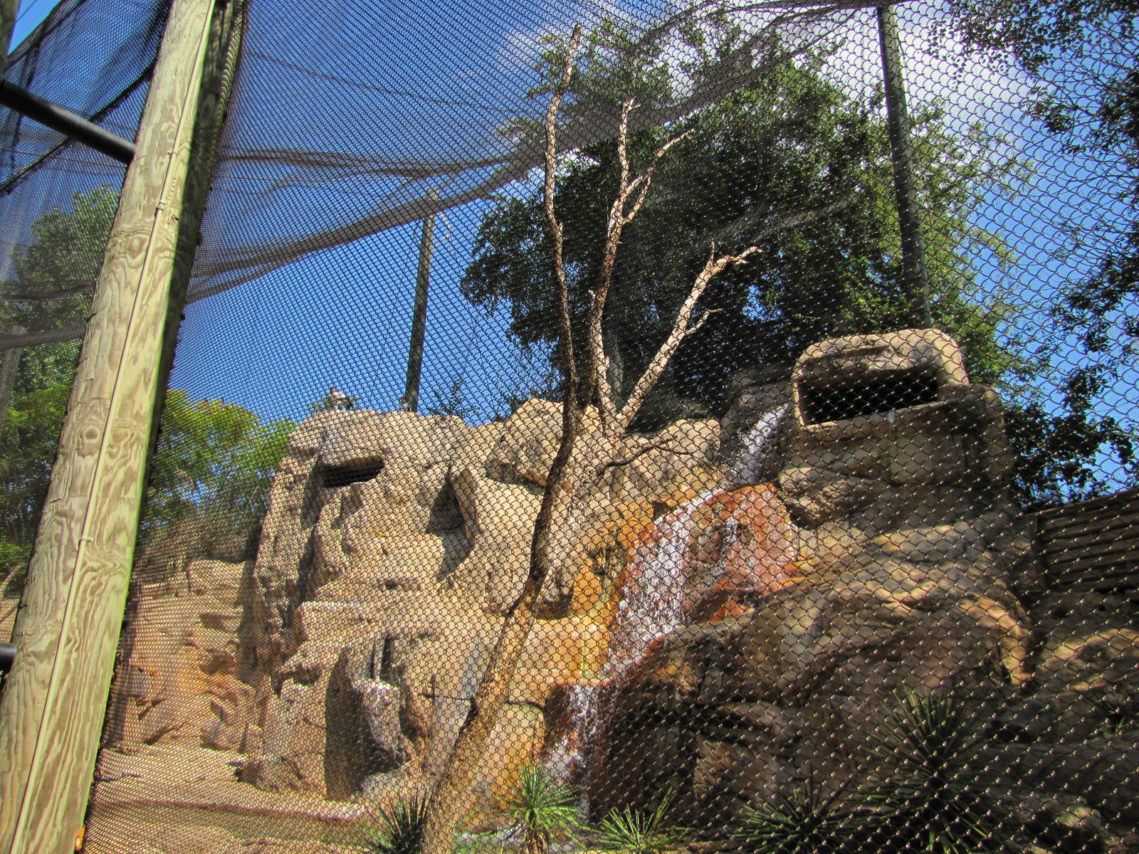 Cameron Park Zoo 2010 - Ceiling of the mixed South American exhibit