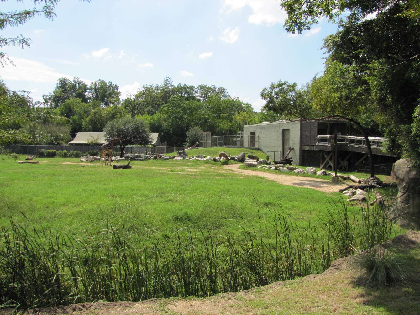 Cameron Park Zoo 2010 - Different part of the African Savanna