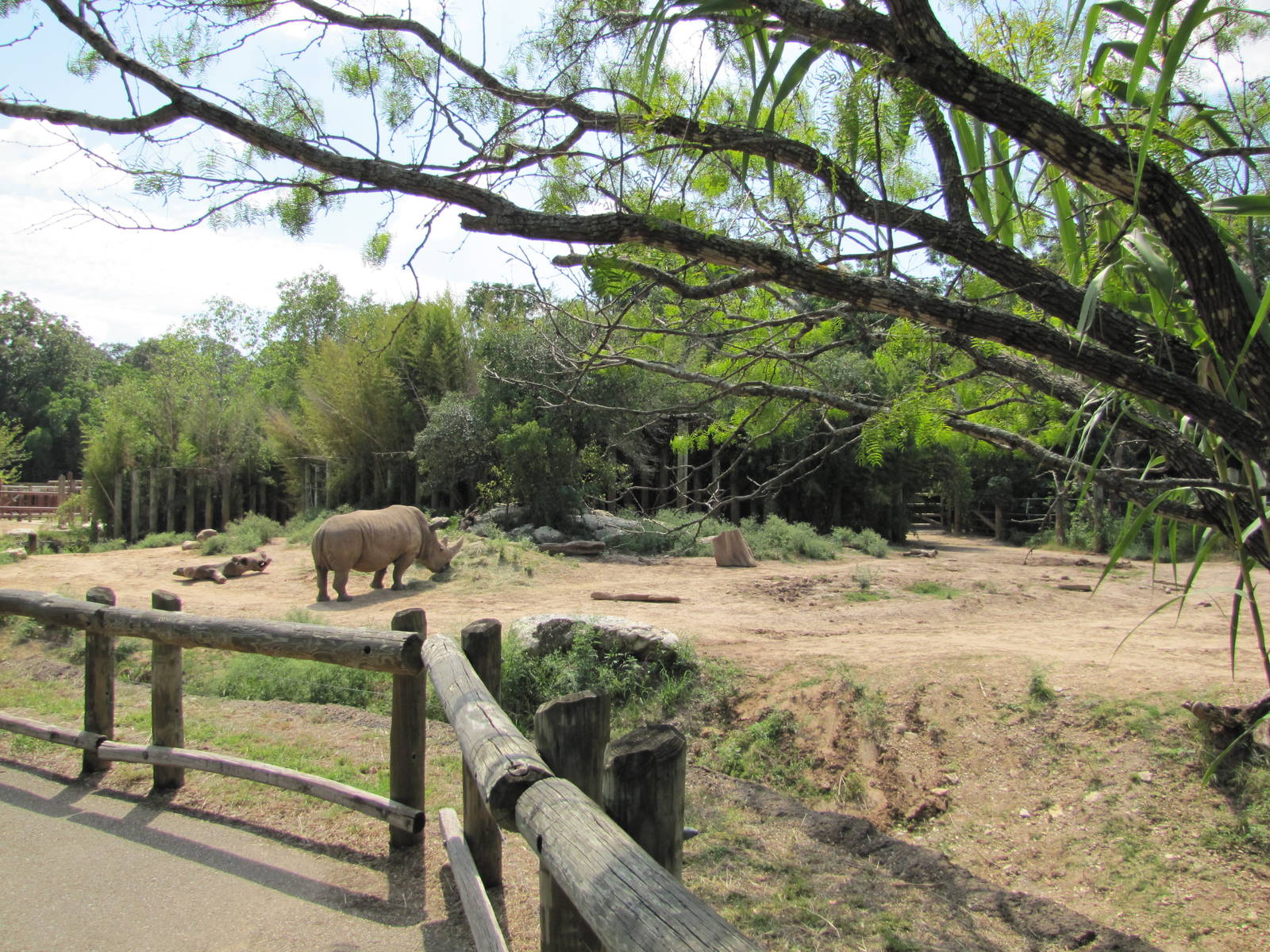 Cameron Park Zoo 2010 - Front of the African Rhinoceros exhibit in the Afri