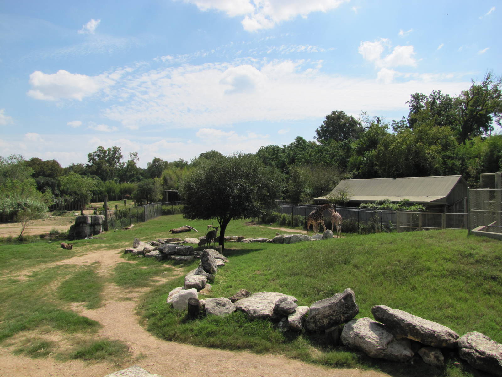 Cameron Park Zoo 2010 - General view in the African Savanna
