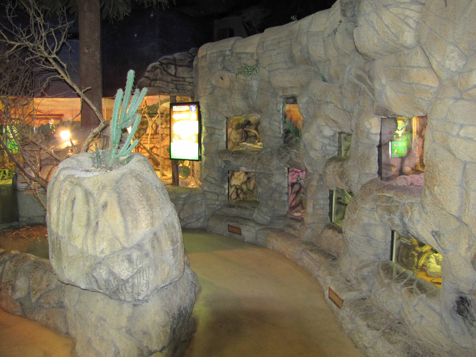 Cameron Park Zoo 2010 - General view inside the Reptile House