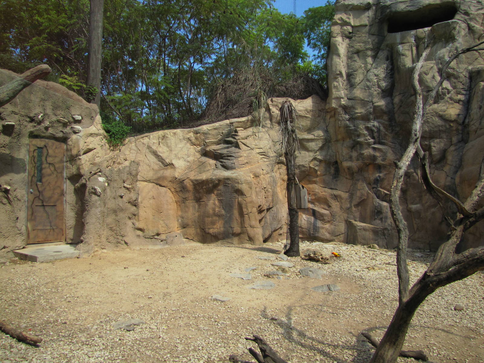 Cameron Park Zoo 2010 - Ground of the mixed South American exhibit