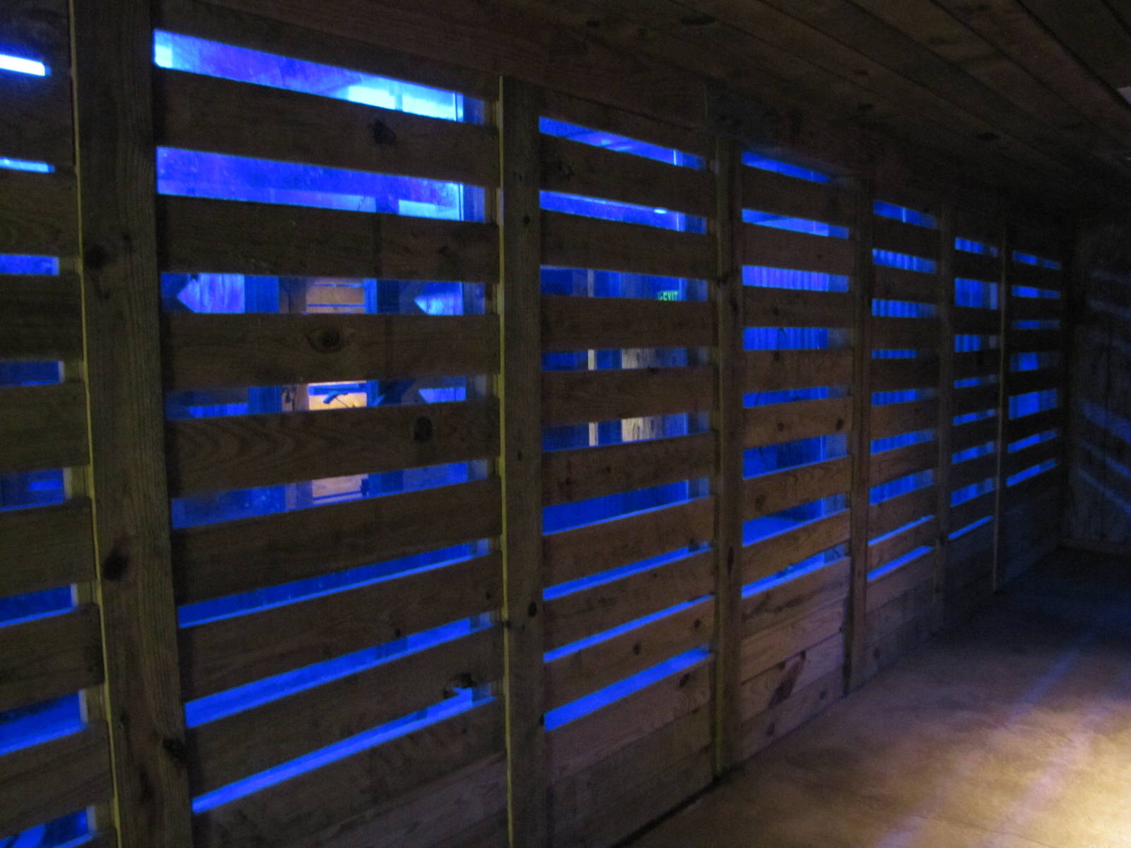 Cameron Park Zoo 2010 - Inside the Nocturnal House in Brazos River Country