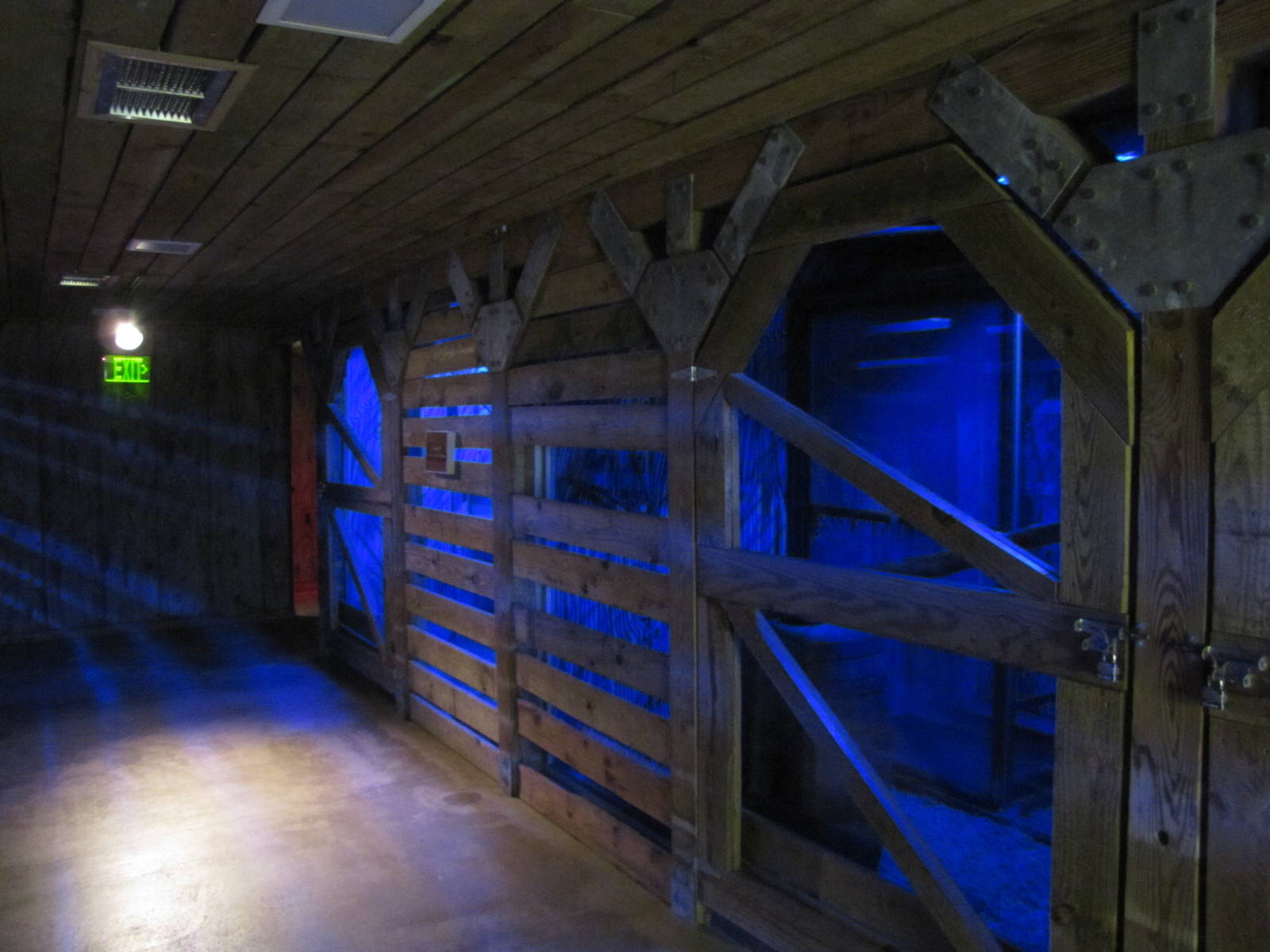 Cameron Park Zoo 2010 - Inside the Nocturnal House in Brazos River Country