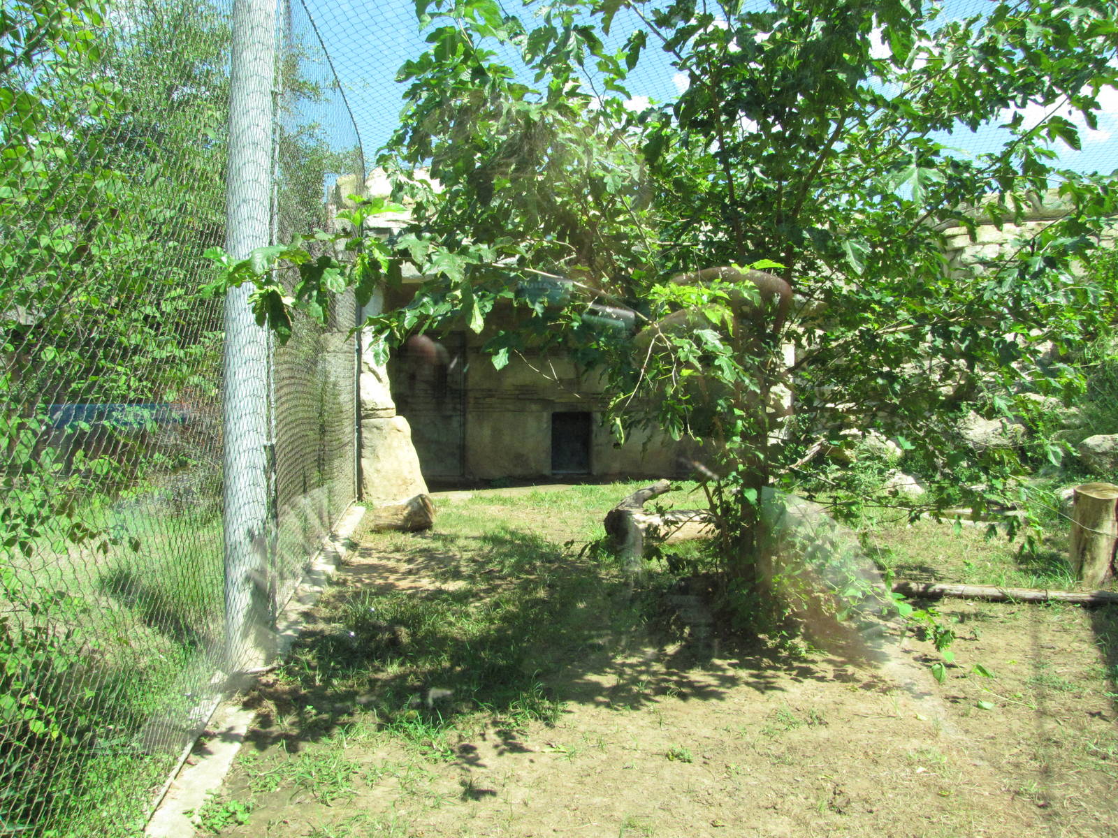 Cameron Park Zoo 2010 - Left part of the Cougar exhibit in Brazos River Cou