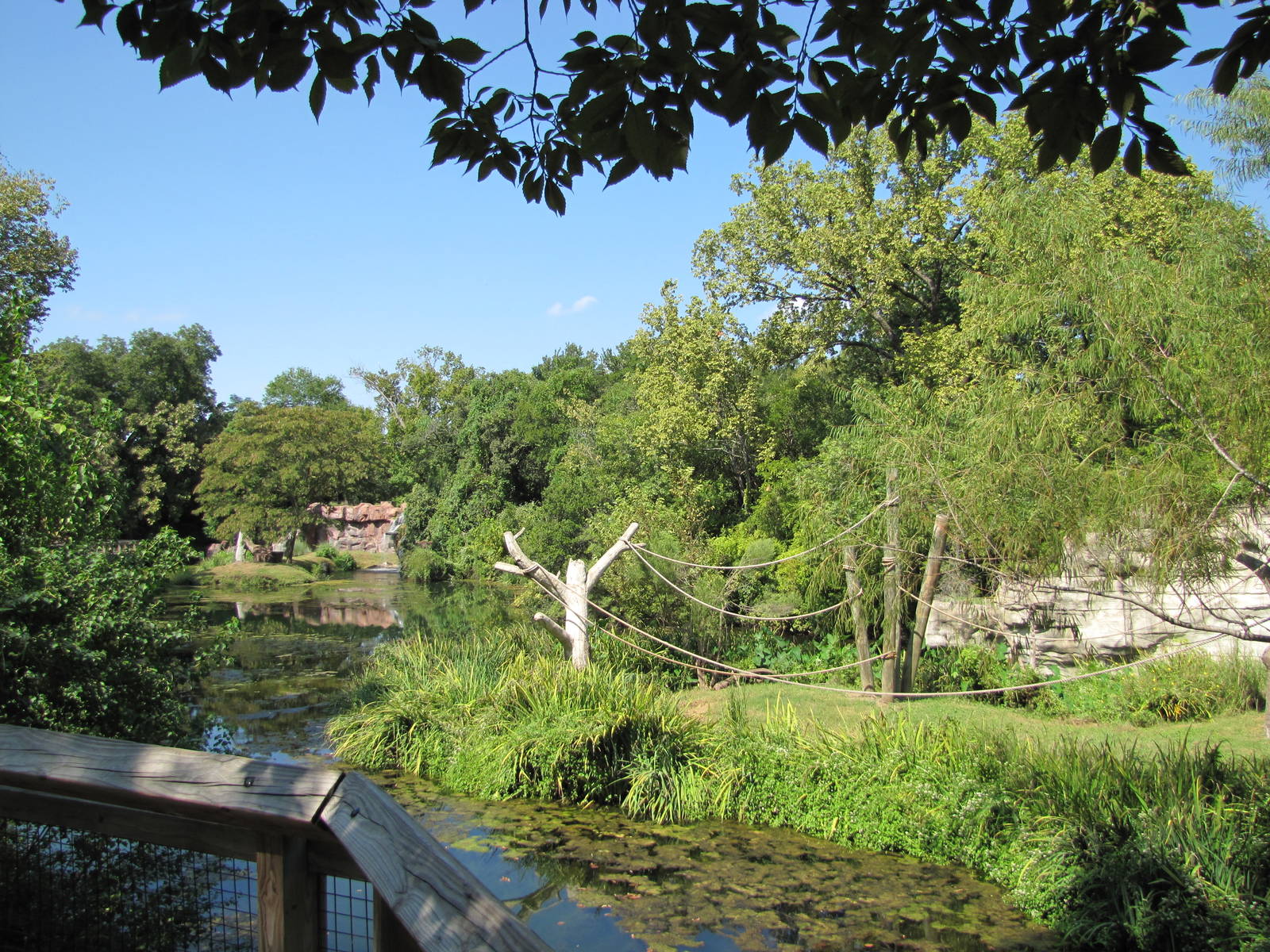 Cameron Park Zoo 2010 - Lemur islands