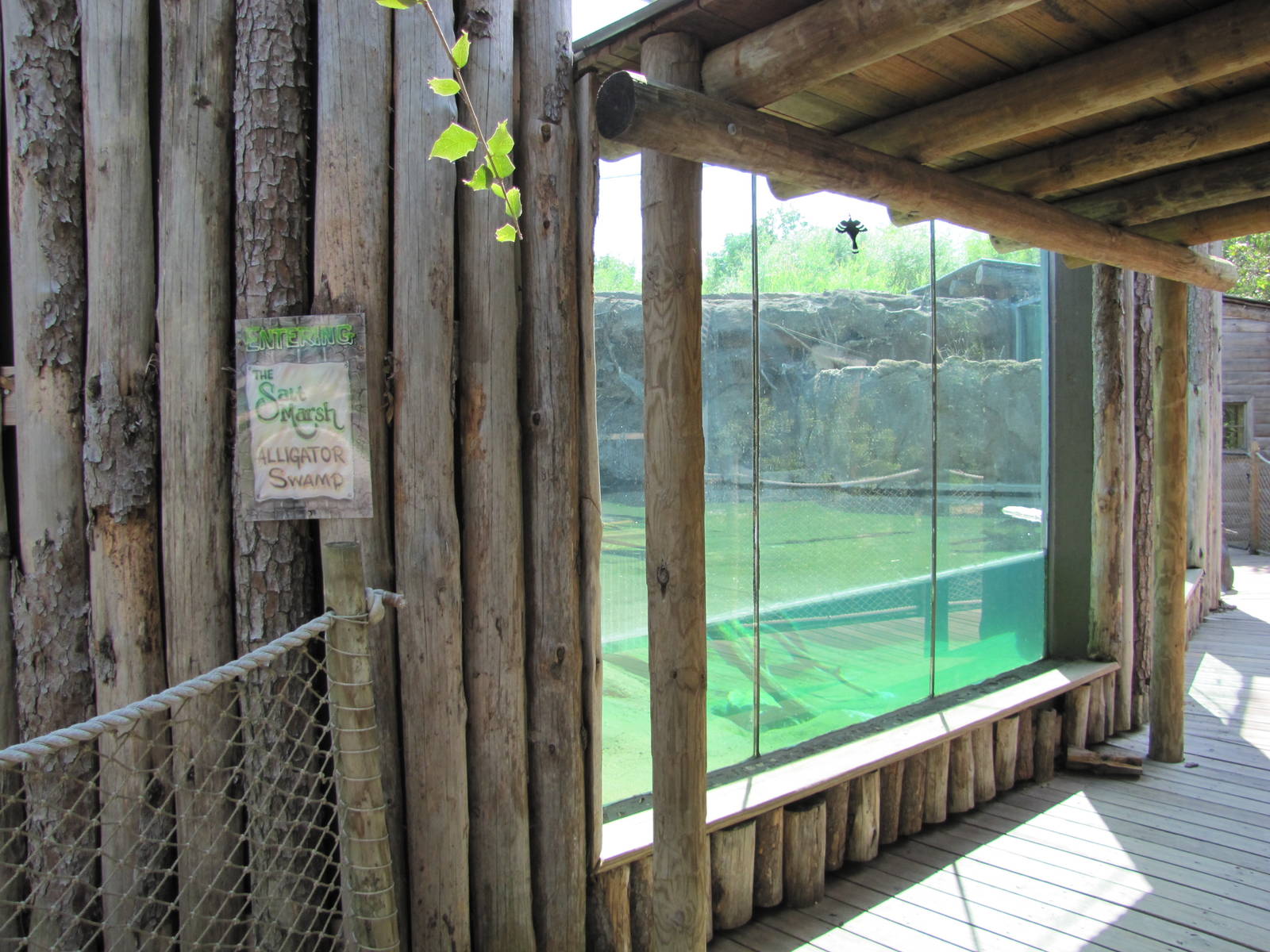 Cameron Park Zoo 2010 - One side of the Alligator exhibit in Brazos River C