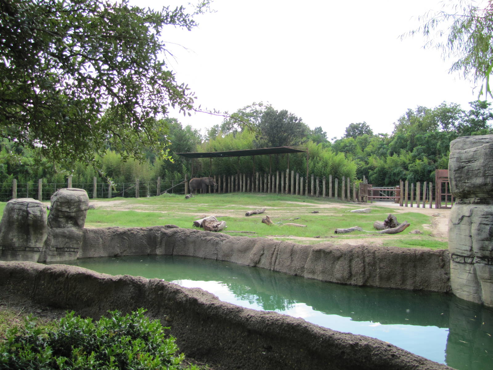 Cameron Park Zoo 2010 - Part of the African Elephant exhibit in the African