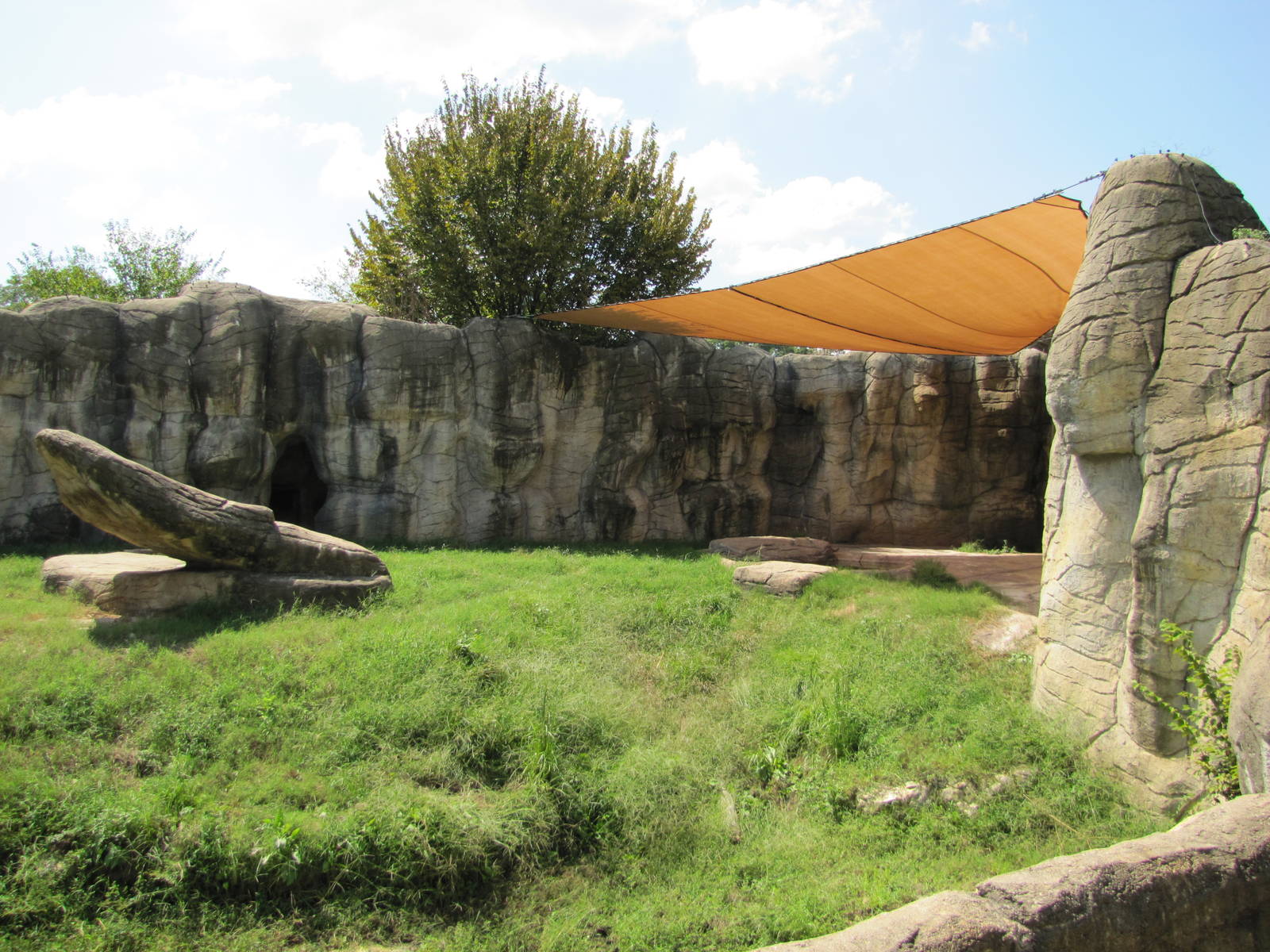 Cameron Park Zoo 2010 - Right part of the African Lion exhibit