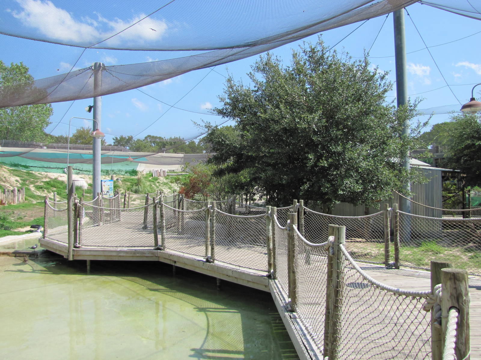 Cameron Park Zoo 2010 - Wetland exhibit in Brazos River Country