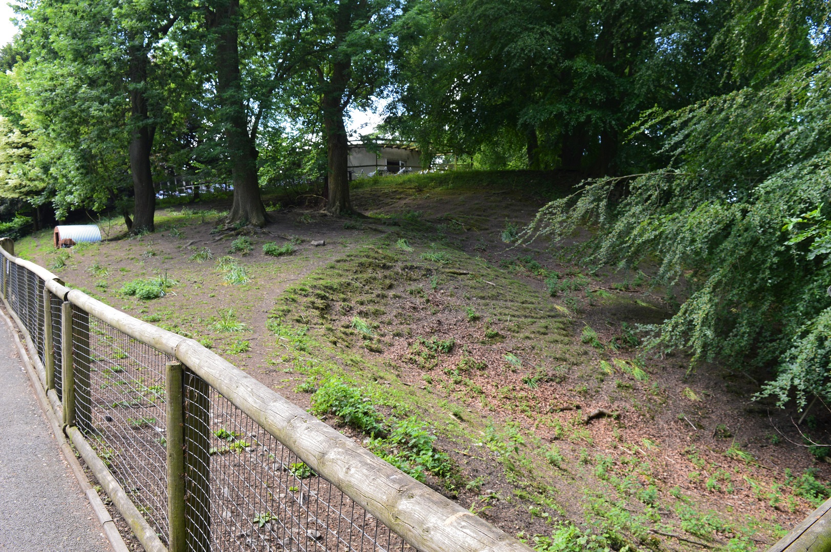 Cameroon sheep enclosure