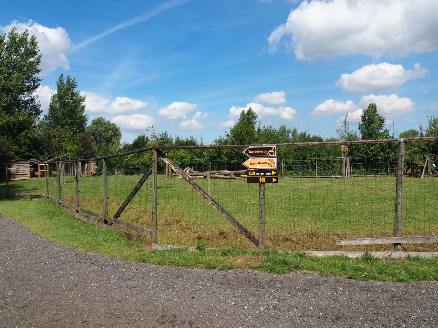 Cameroon sheep - White-naped crane paddock