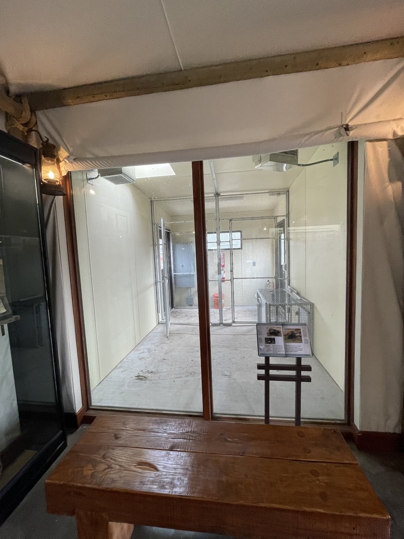 Camp Cowabunga - Cape Porcupine Indoor Exhibit