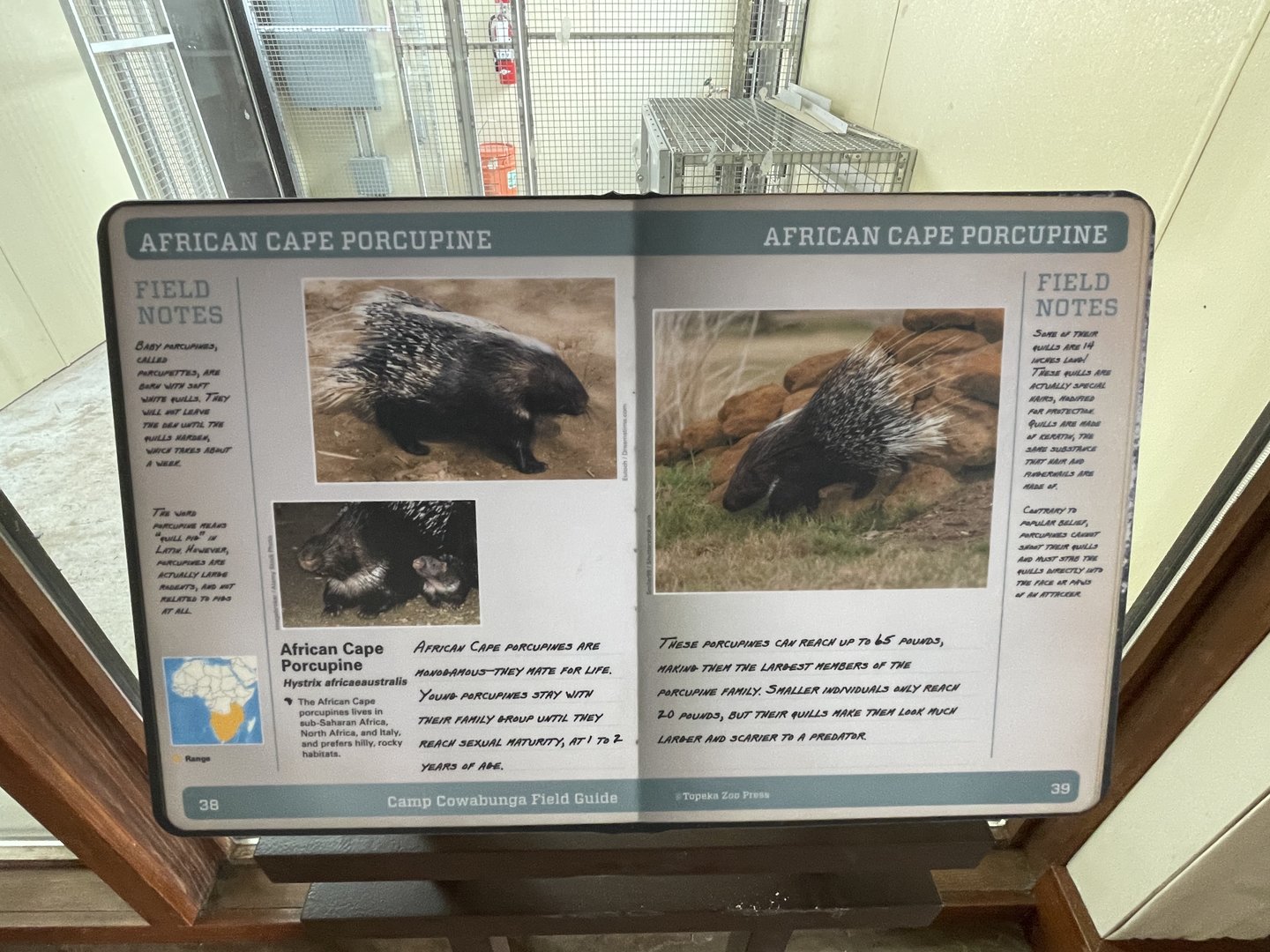 Camp Cowabunga - Cape Porcupine Signage