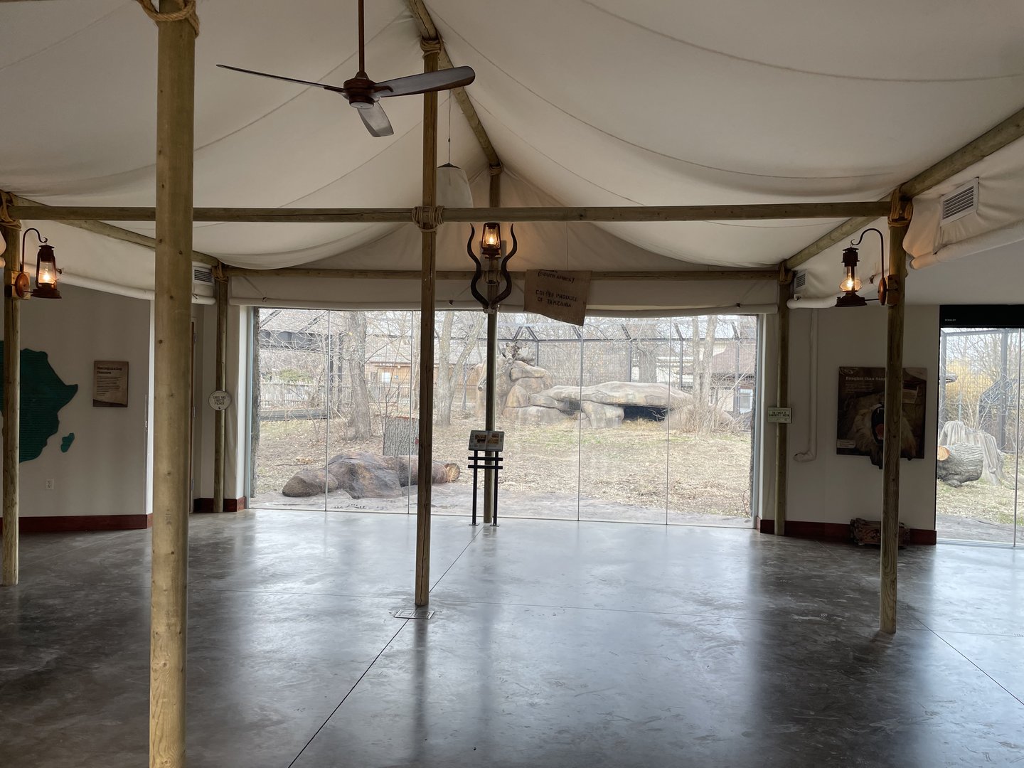 Camp Cowabunga - Lion Exhibit Viewing