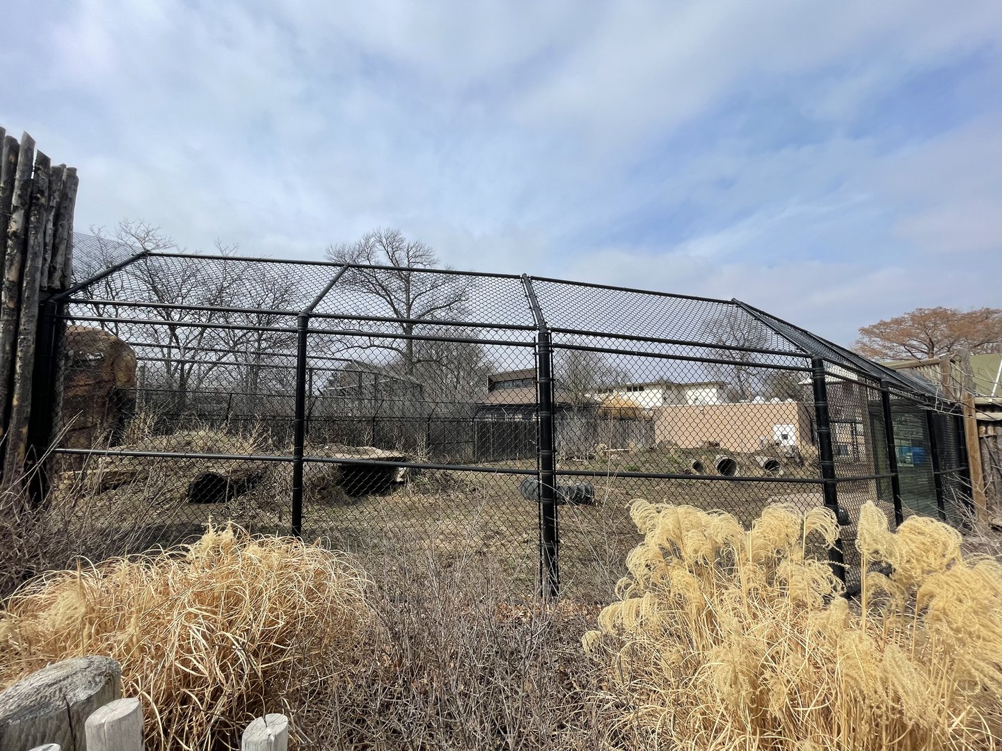 Camp Cowabunga - Painted Dog Outdoor Viewing
