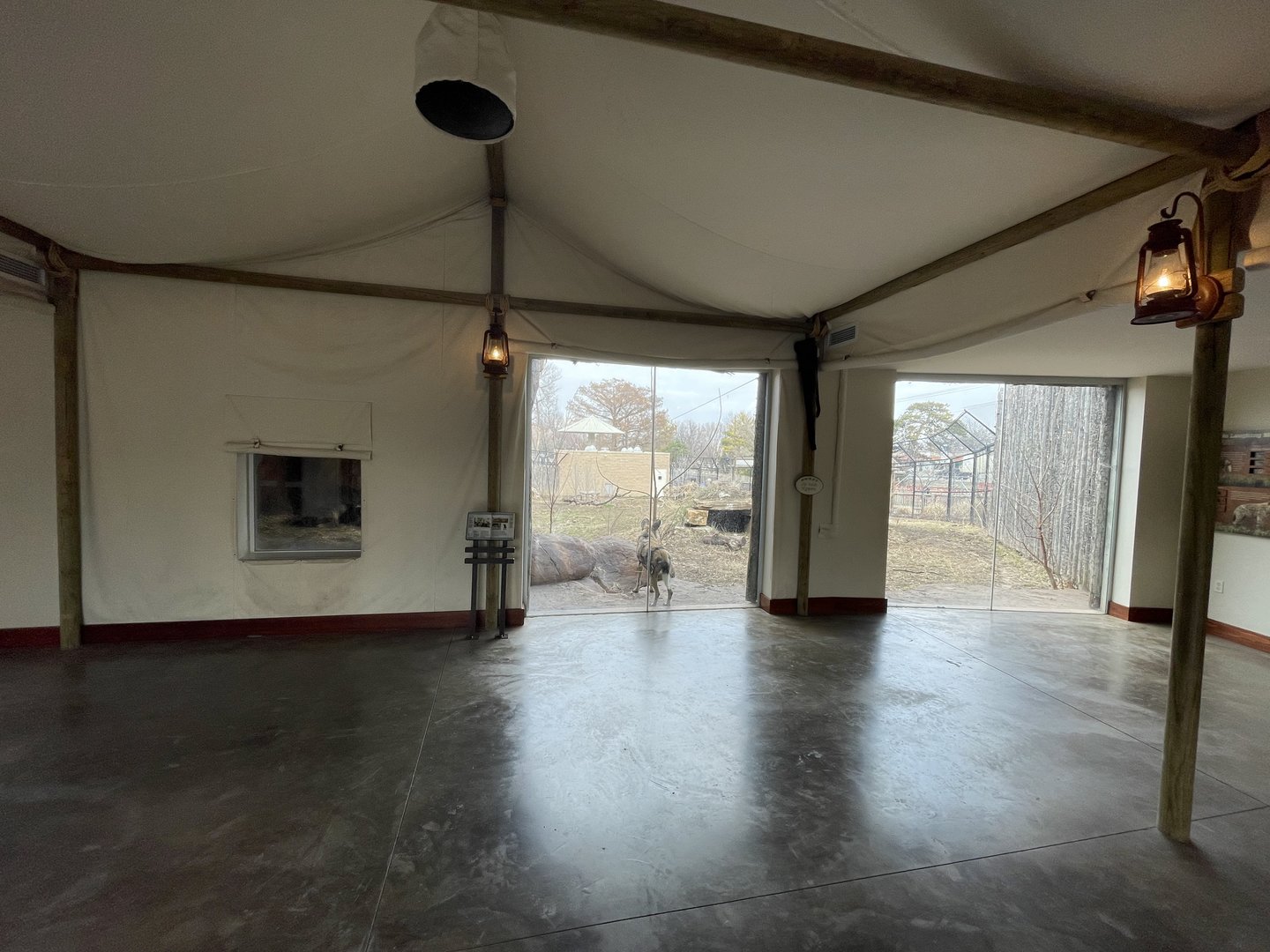 Camp Cowabunga - Painted Dog Viewing