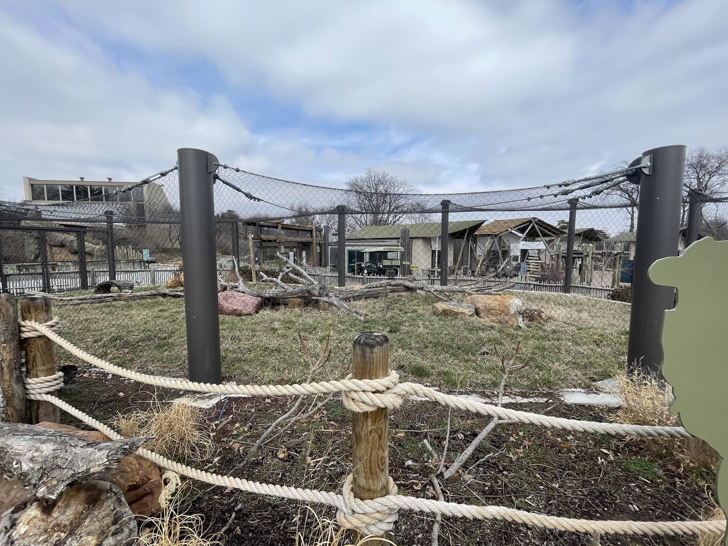 Camp Cowabunga - Patas Monkey Exhibit