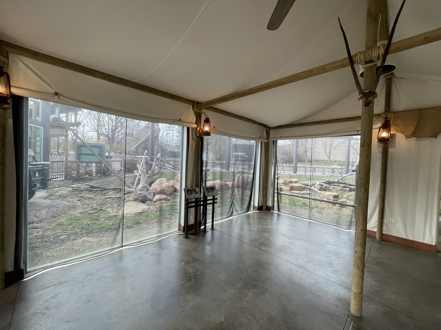 Camp Cowabunga - Patas Monkey Viewing