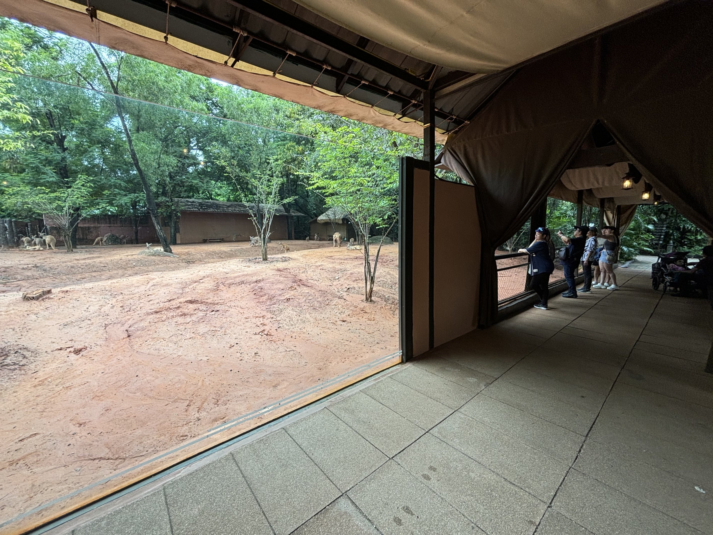 Camp Kangaroo - New in 2022