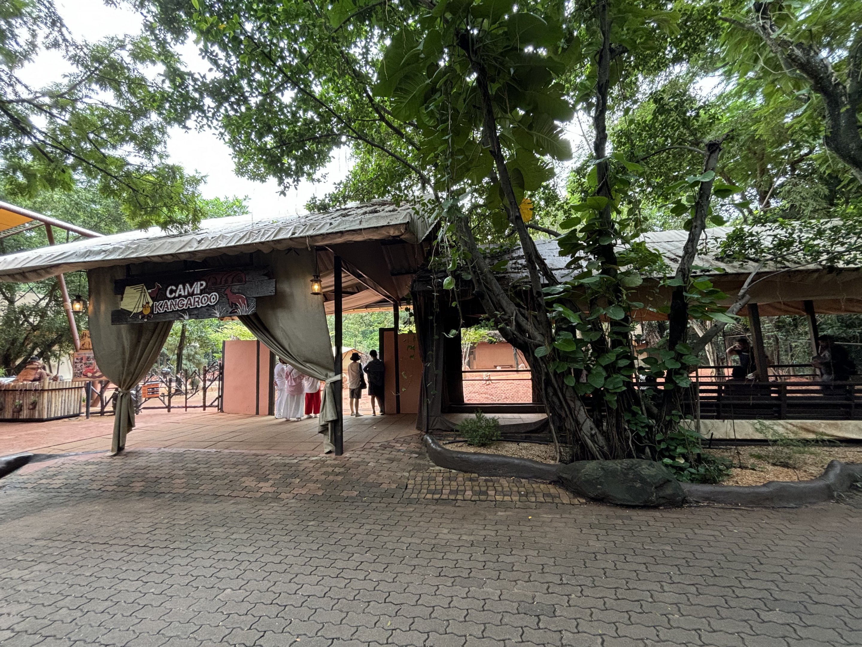 Camp Kangaroo - New in 2022