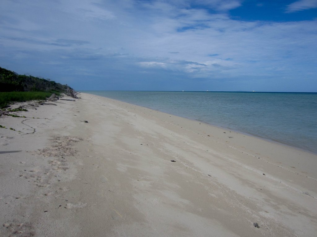 Campbell Island Beach