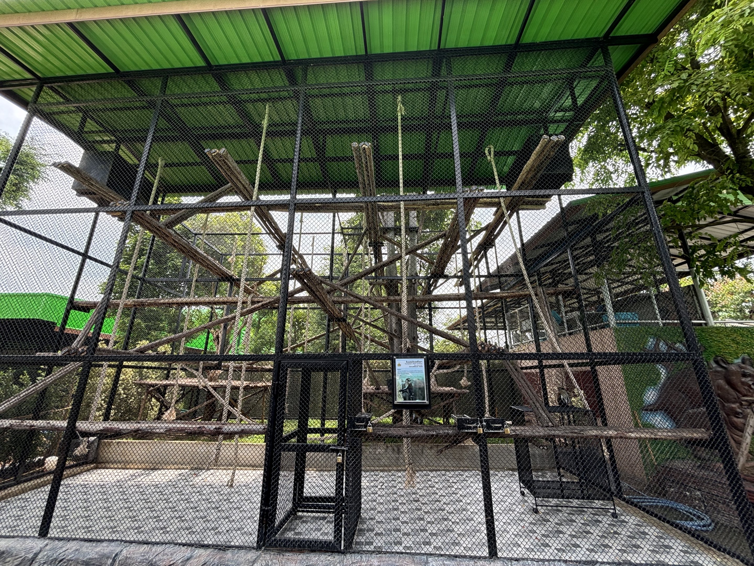 Campbell’s Mona Monkey Exhibit - Lion Park