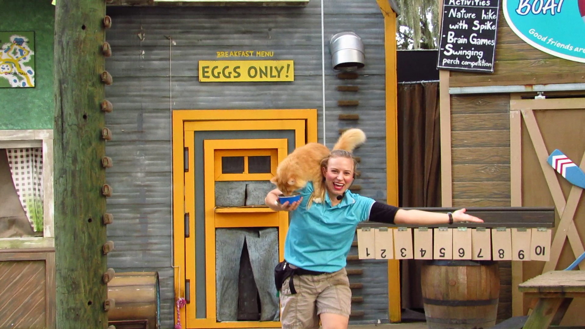 Campground Critters Cat Receiving Treats