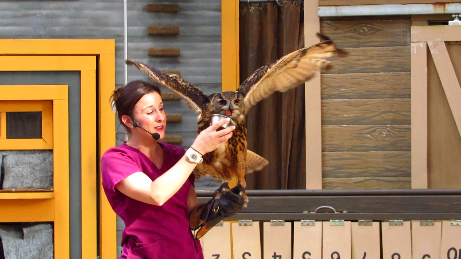 Campground Critters King Receiving Treat