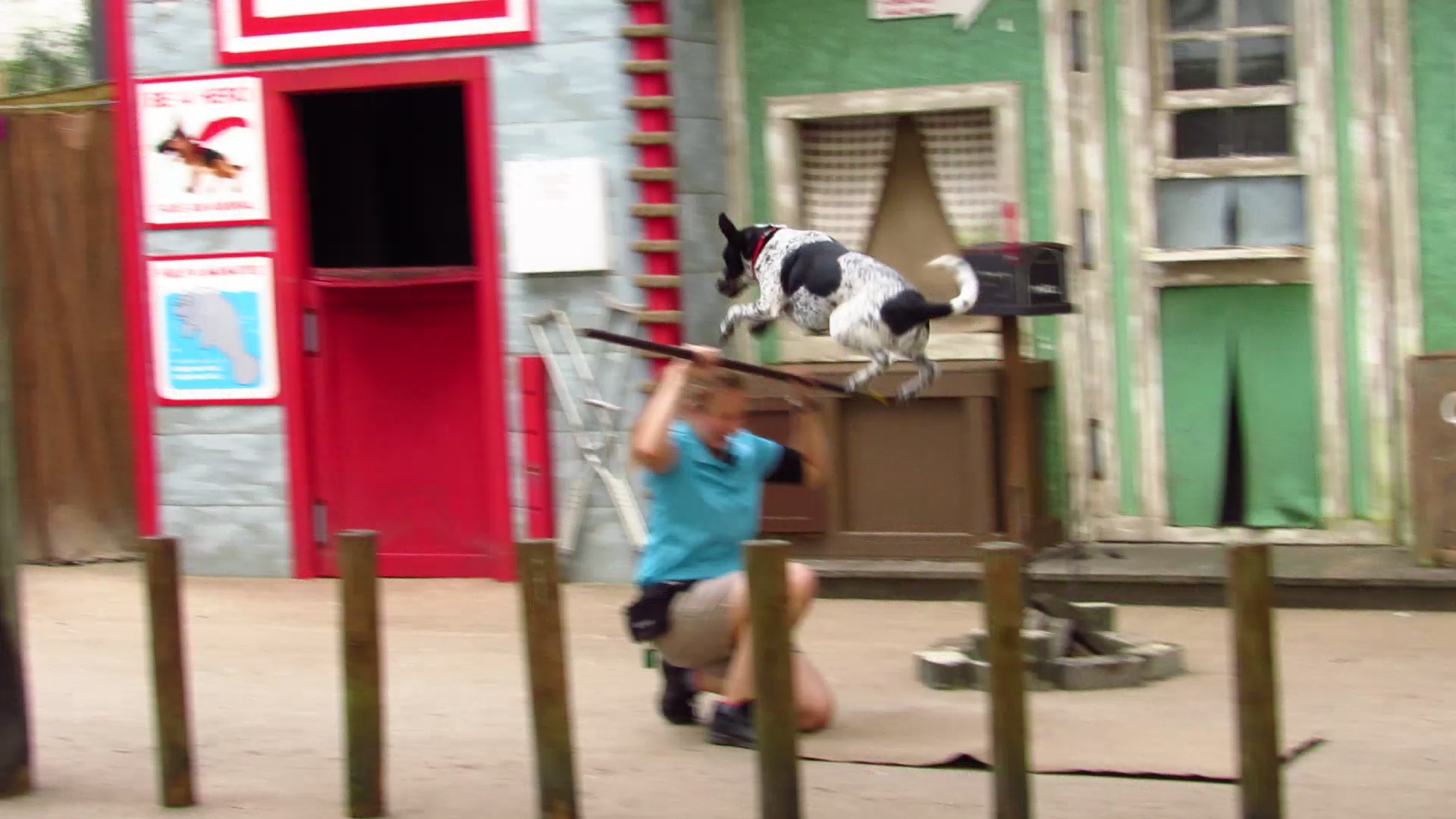 Campground Critters Riggs Jumping