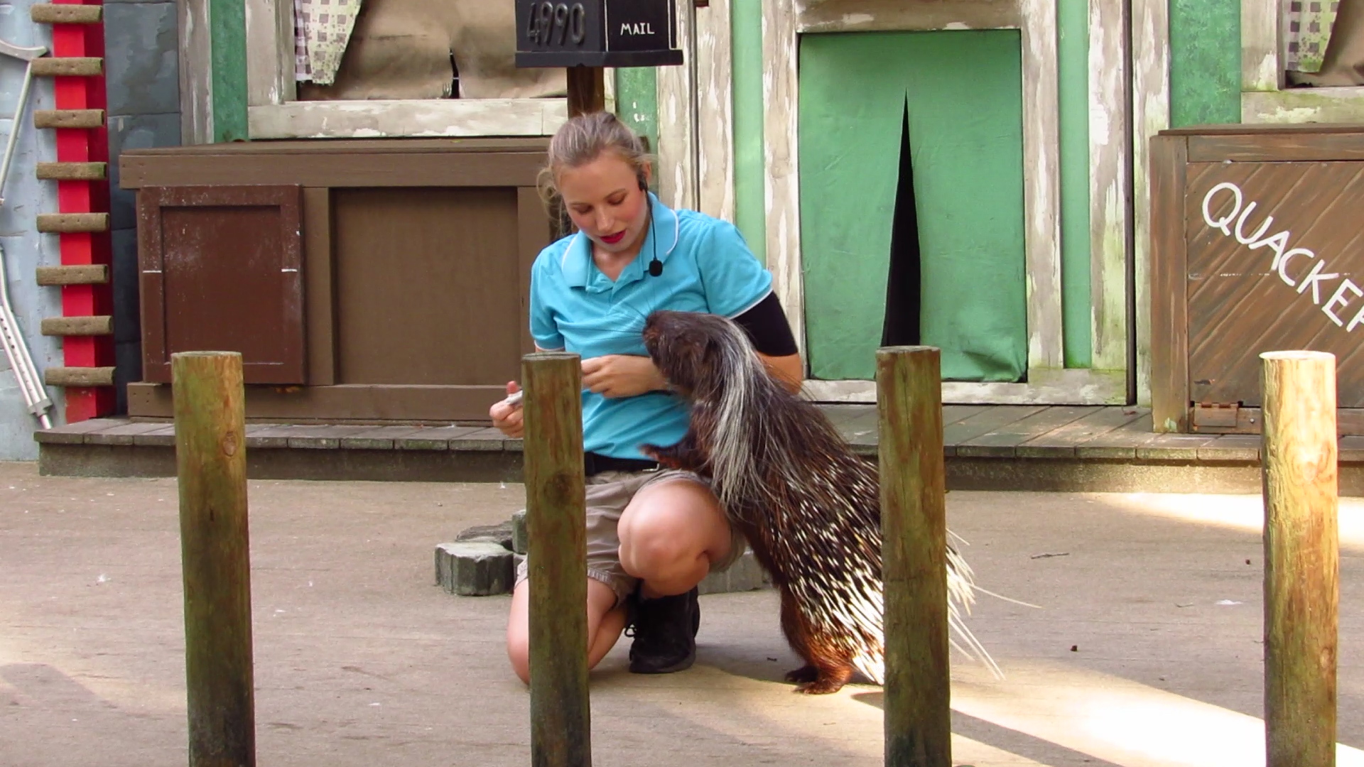 Campground Critters Spike On Delivery Service