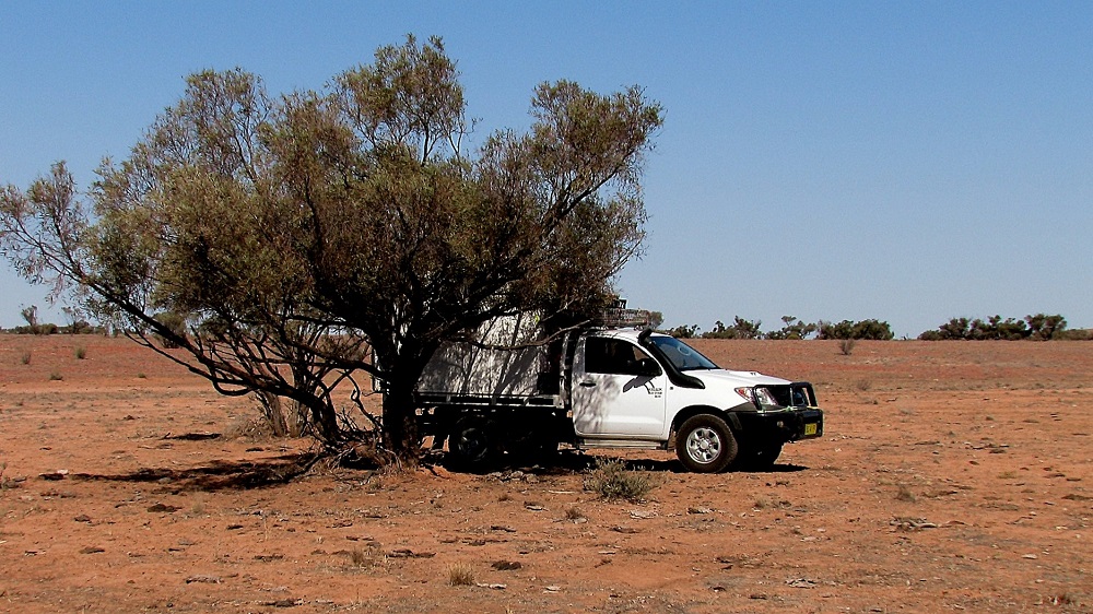 Camping.  Central NSW