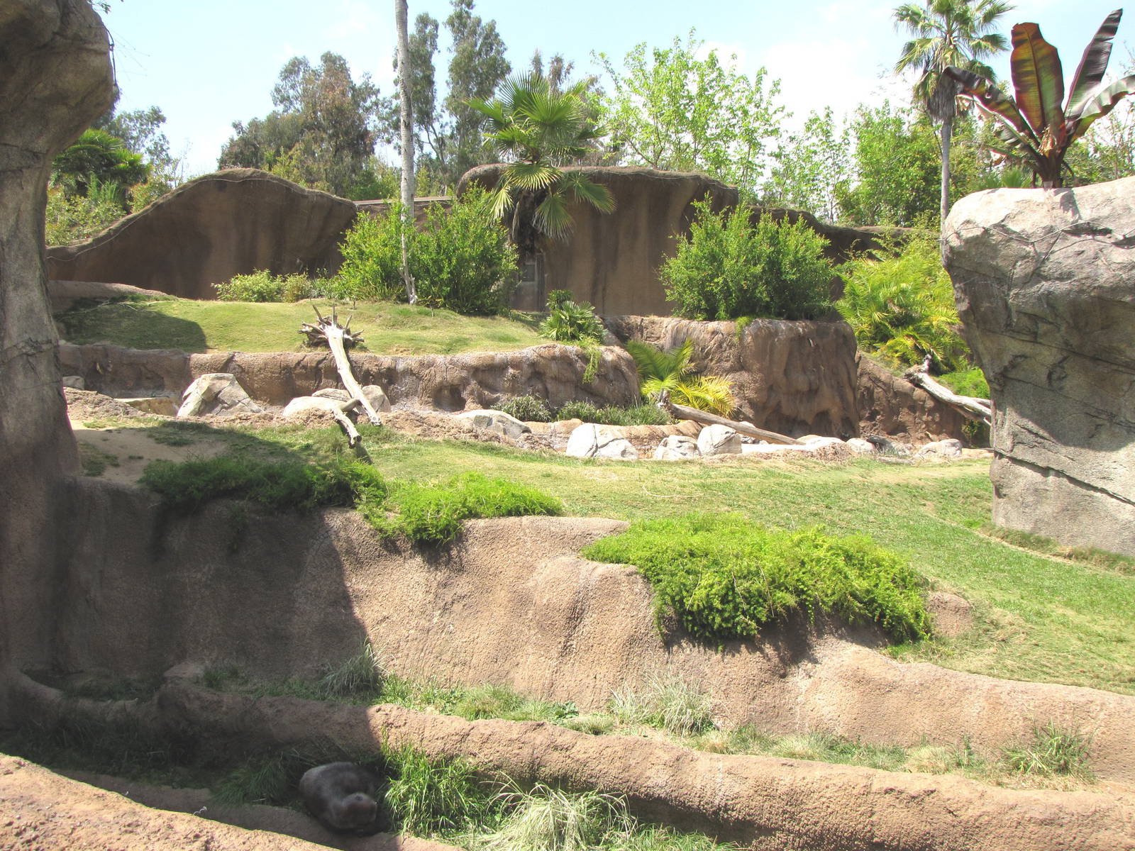 Campo Gorilla Reserve