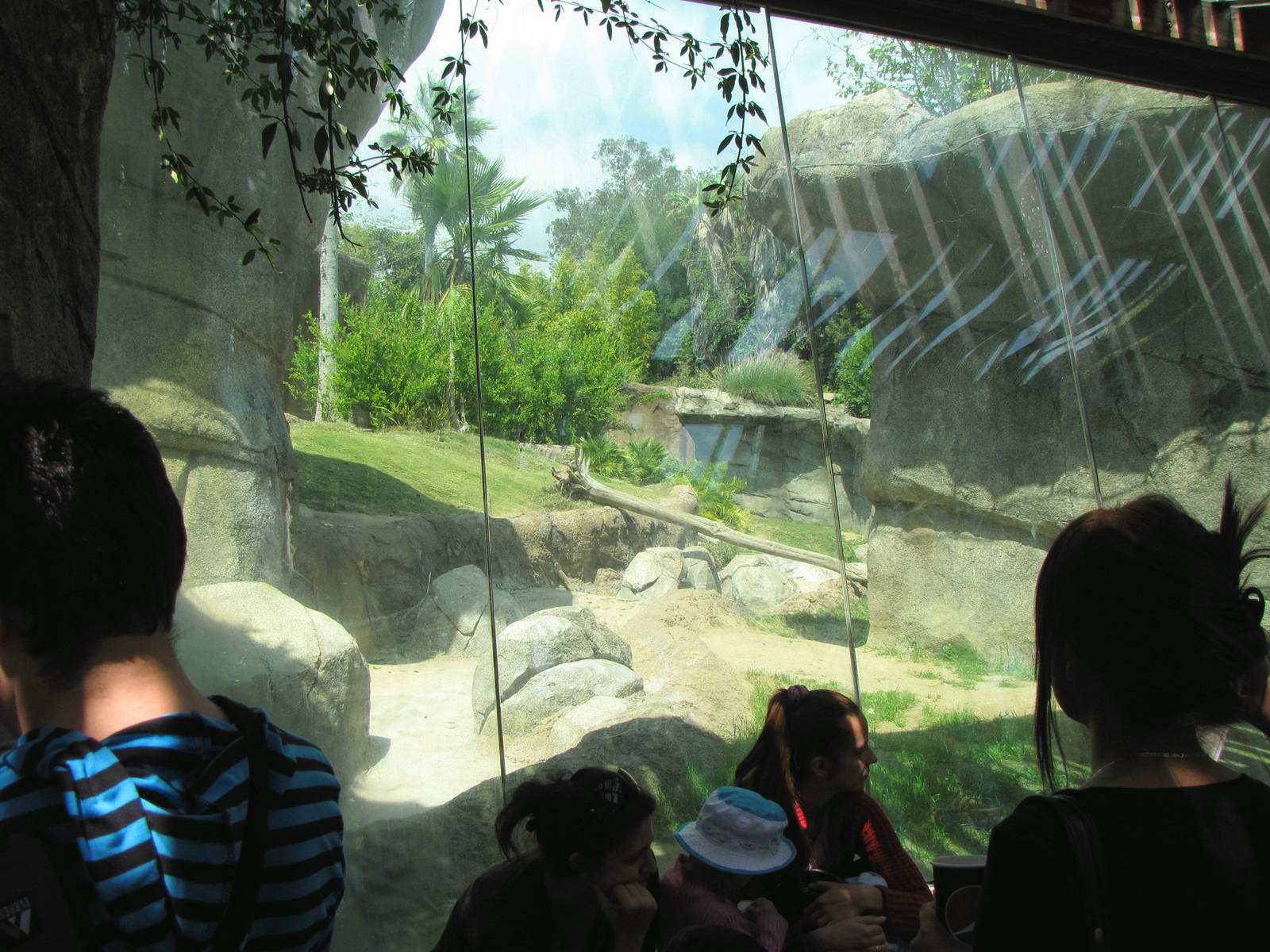 Campo Gorilla Reserve