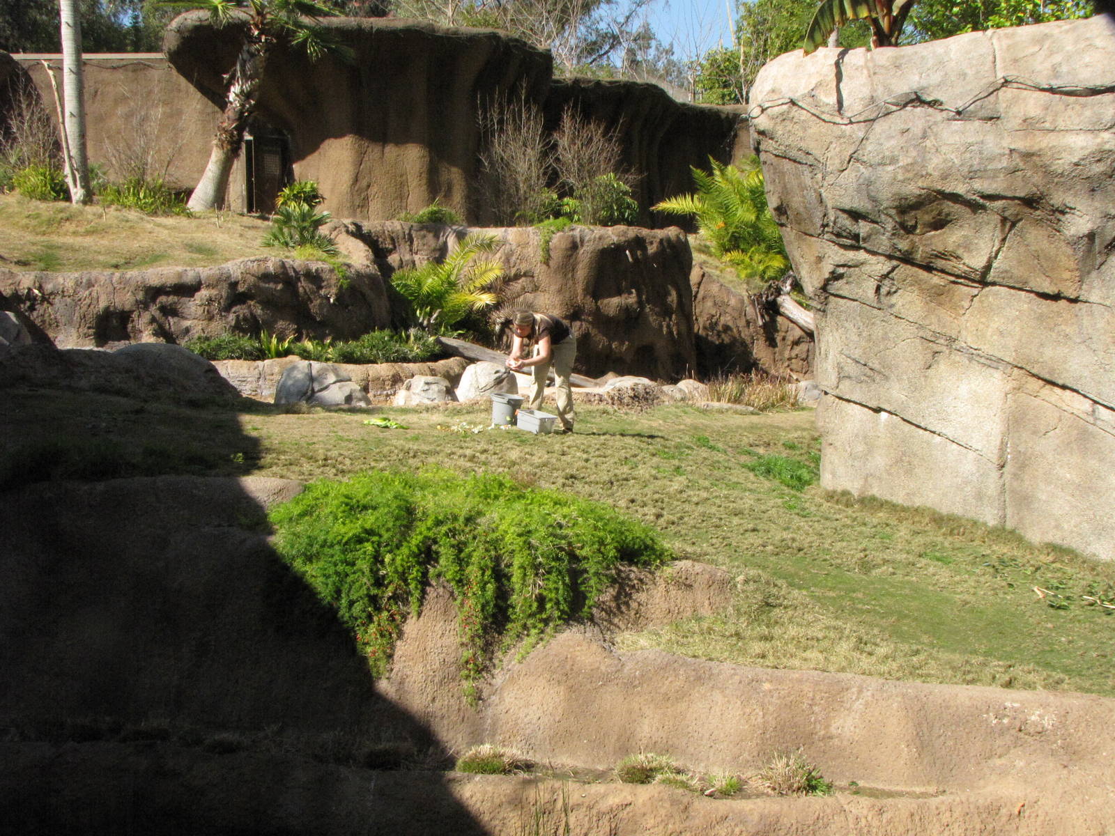 Campo Gorilla Reserve