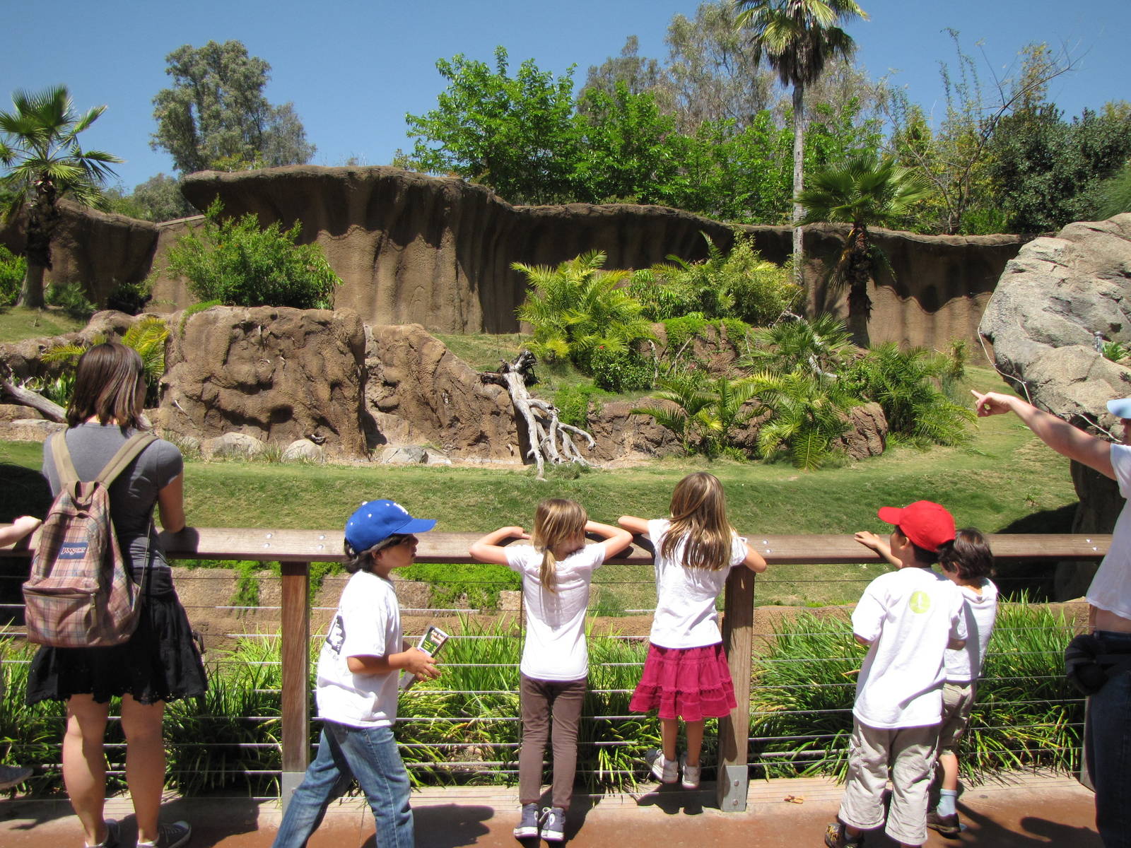 Campo Gorilla Reserve