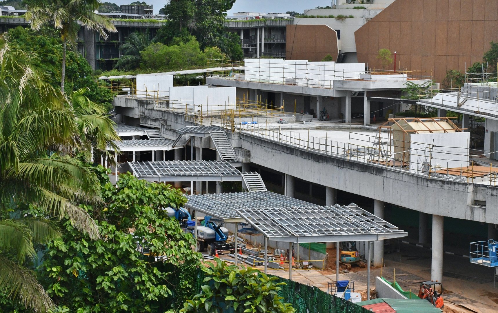 Campsite at Mandai Wildlife East