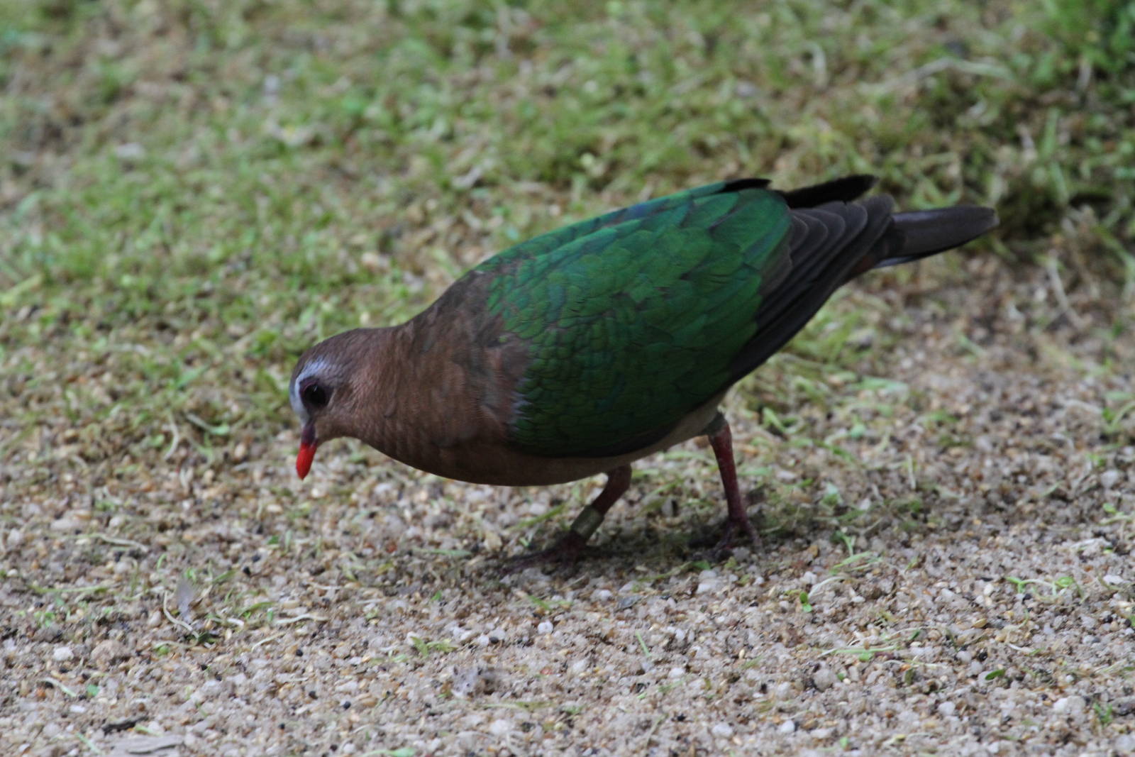 Can Anyone ID Please?