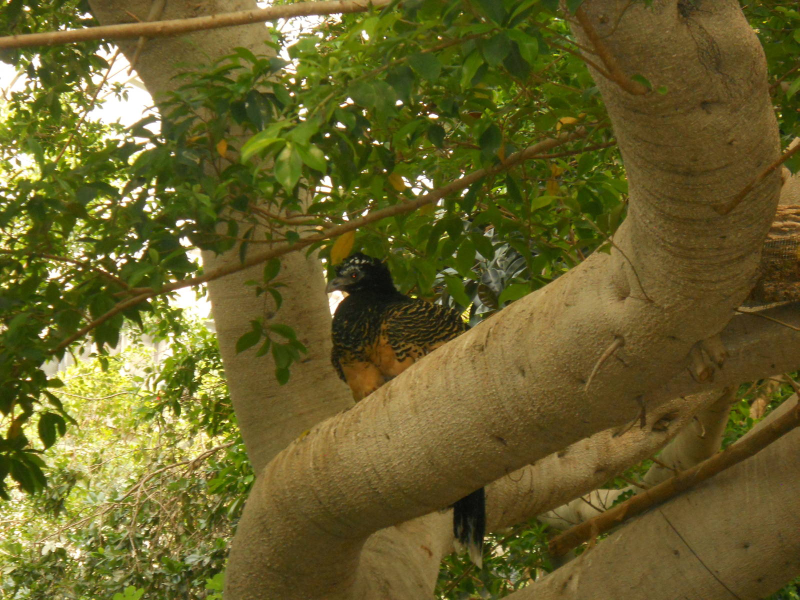 Can anyone identify?