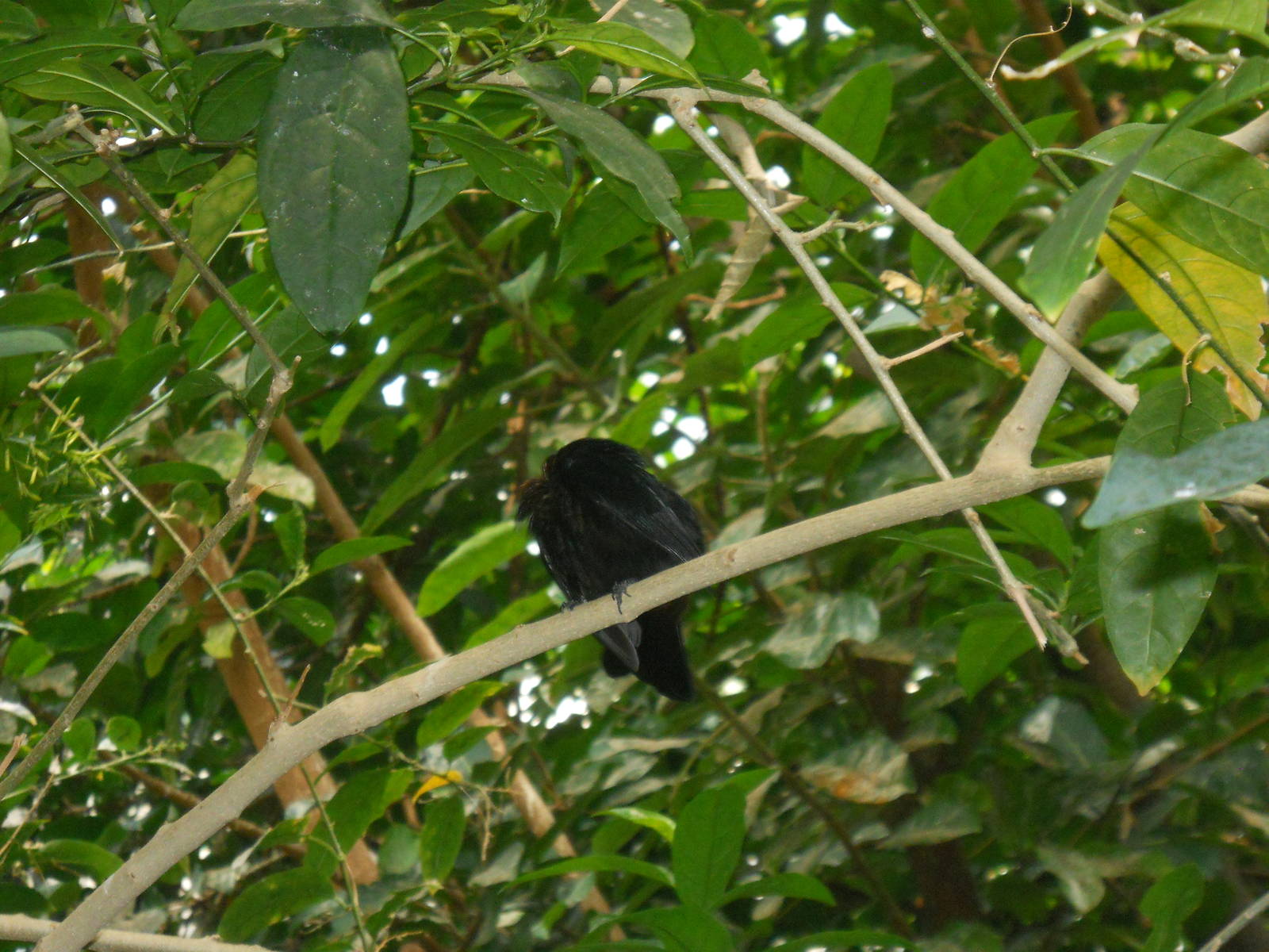 Can anyone identify?