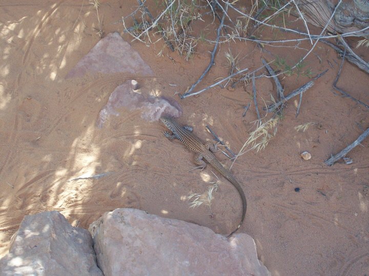 Can anyone identify?